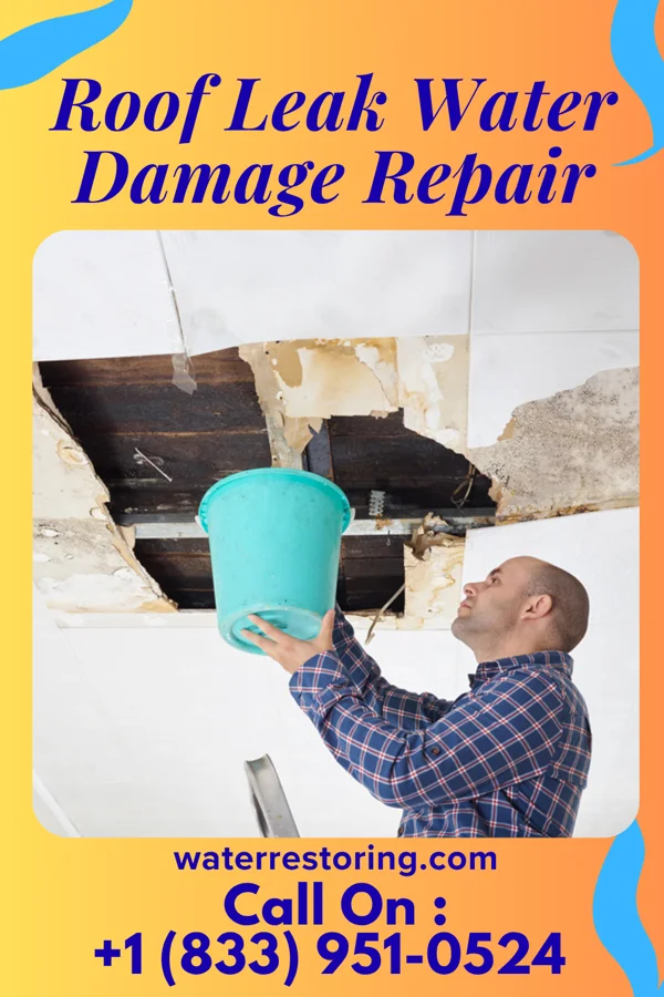 Roof Leak Water Damage Repair in Piedmont, MO