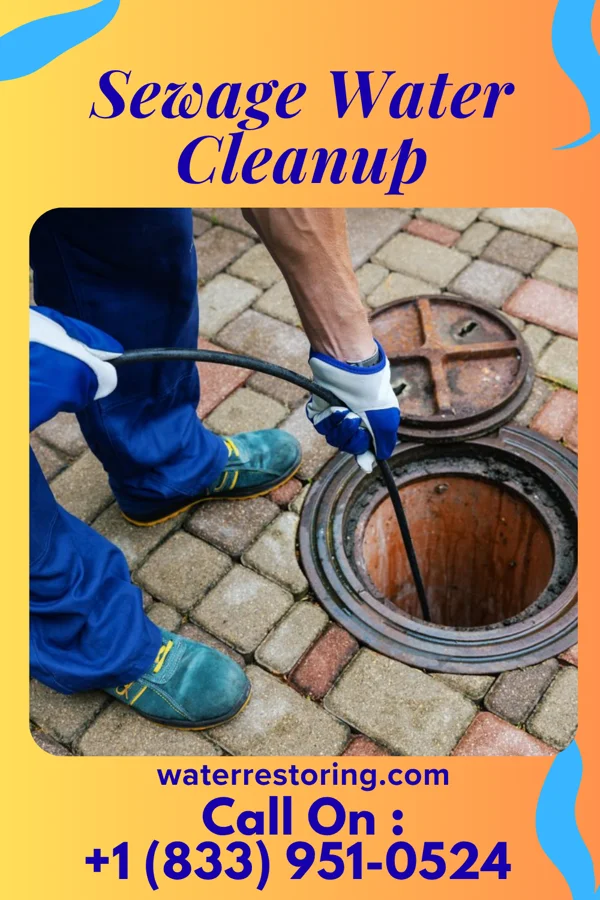 Sewage Water Cleanup in Piedmont, MO